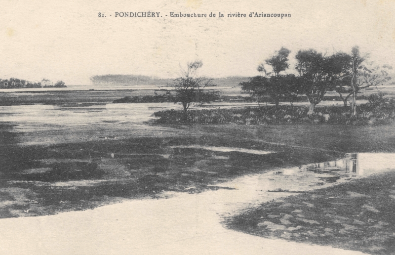 12-11 - Pondichery - embouchure riviere Ariancoupan